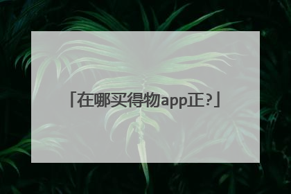 在哪买得物app正?