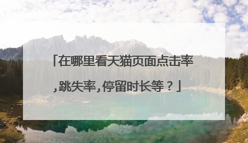 在哪里看天猫页面点击率,跳失率,停留时长等?