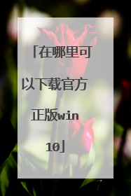 在哪里可以下载官方正版win10