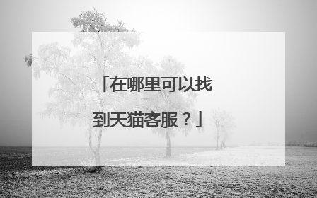 在哪里可以找到天猫客服?