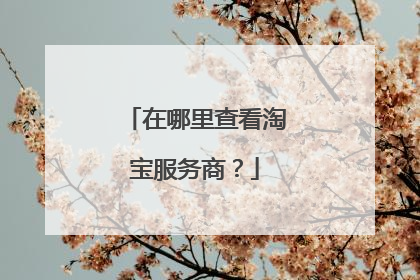 在哪里查看淘宝服务商?
