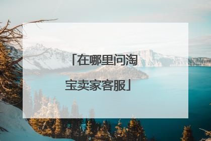 在哪里问淘宝卖家客服