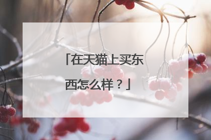 在天猫上买东西怎么样？