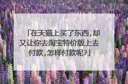 在天猫上买了东西,却又让你去淘宝特价版上去付款,怎样付款呢?