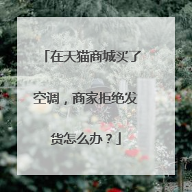 在天猫商城买了空调，商家拒绝发货怎么办？