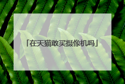 在天猫敢买摄像机吗