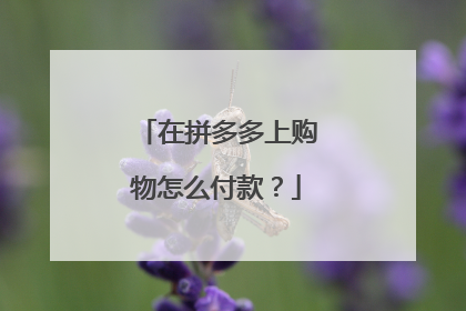 在拼多多上购物怎么付款？