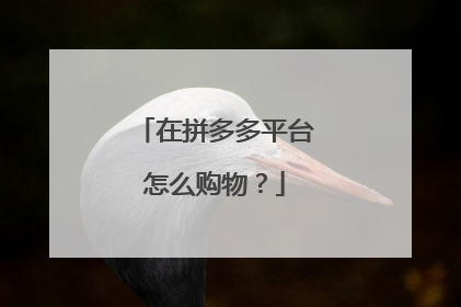 在拼多多平台怎么购物?