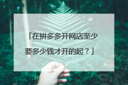 在拼多多开网店至少要多少钱才开的起?