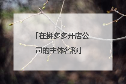 在拼多多开店公司的主体名称