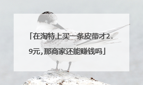 在淘特上买一条皮带才2.9元,那商家还能赚钱吗