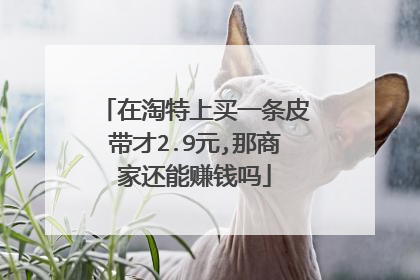 在淘特上买一条皮带才2.9元,那商家还能赚钱吗