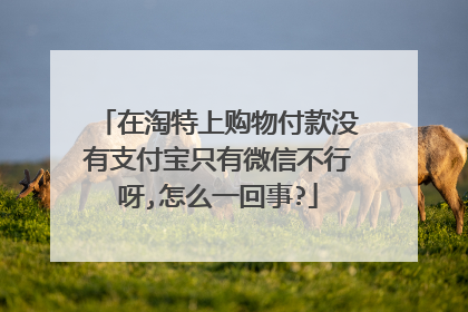在淘特上购物付款没有支付宝只有微信不行呀,怎么一回事?