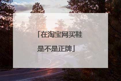 在淘宝网买鞋是不是正牌