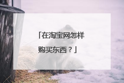 在淘宝网怎样购买东西?