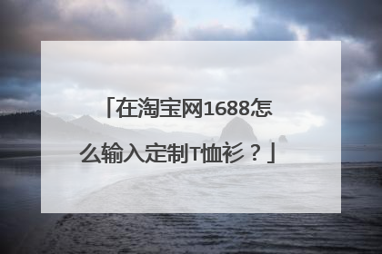 在淘宝网1688怎么输入定制T恤衫?