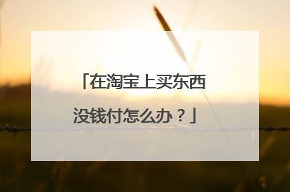 在淘宝上买东西没钱付怎么办?