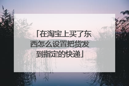 在淘宝上买了东西怎么设置把货发到指定的快递