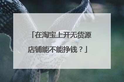 在淘宝上开无货源店铺能不能挣钱?