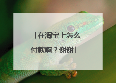 在淘宝上怎么付款啊?谢谢