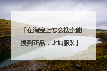 在淘宝上怎么搜索能搜到正品,比如服装