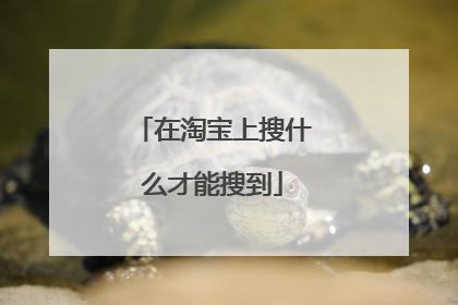 在淘宝上搜什么才能搜到