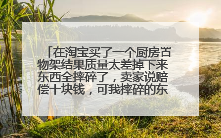 在淘宝买了一个厨房置物架结果质量太差掉下来东西全摔碎了,卖家说赔偿十块钱,可我摔碎的东西值50块?