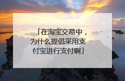 在淘宝交易中,为什么提倡采用支付宝进行支付啊