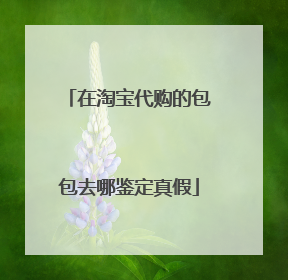 在淘宝代购的包包去哪鉴定真假