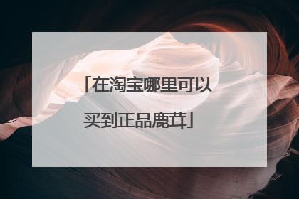 在淘宝哪里可以买到正品鹿茸