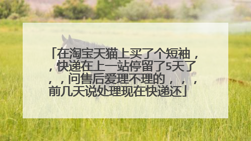 在淘宝天猫上买了个短袖,,快递在上一站停留了5天了,,问售后爱理不理的,,,前几天说处理现在快递还