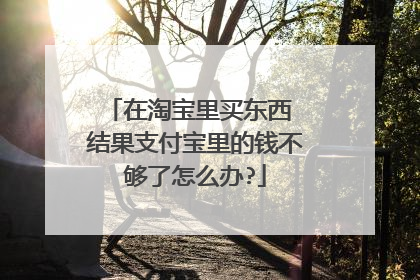 在淘宝里买东西 结果支付宝里的钱不够了怎么办?