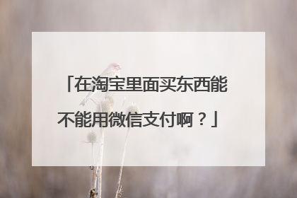 在淘宝里面买东西能不能用微信支付啊?