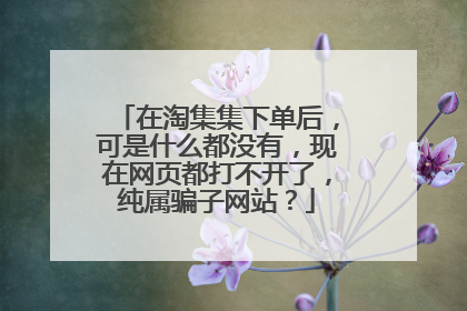 在淘集集下单后,可是什么都没有,现在网页都打不开了,纯属骗子网站?