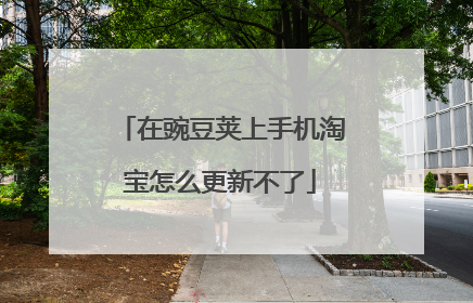 在豌豆荚上手机淘宝怎么更新不了