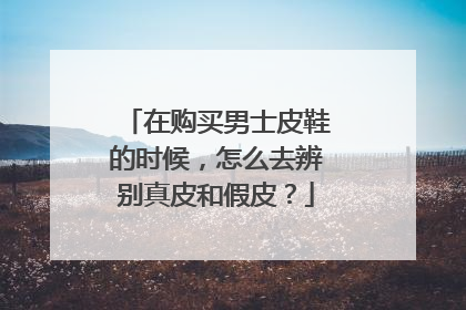 在购买男士皮鞋的时候,怎么去辨别真皮和假皮?