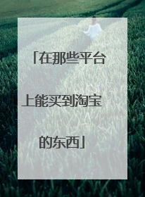 在那些平台上能买到淘宝的东西