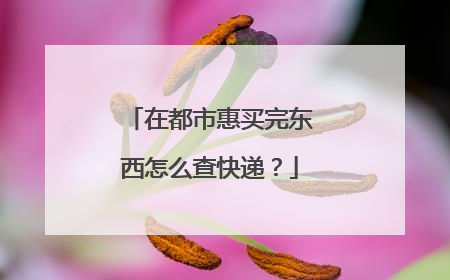 在都市惠买完东西怎么查快递?