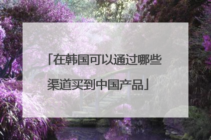 在韩国可以通过哪些渠道买到中国产品
