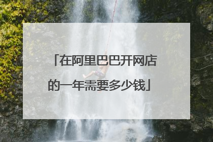 在阿里巴巴开网店的一年需要多少钱
