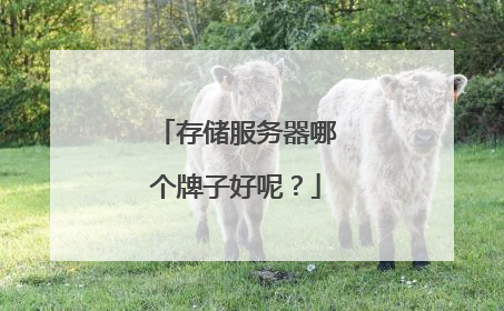 存储服务器哪个牌子好呢?