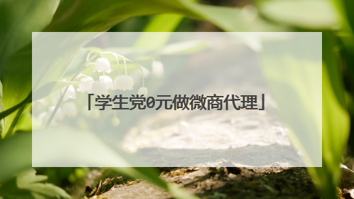学生党0元做微商代理