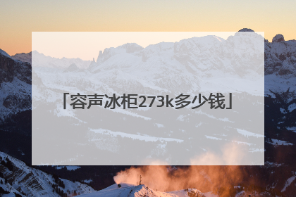 容声冰柜273k多少钱