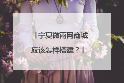 宁夏微雨网商城应该怎样搭建?