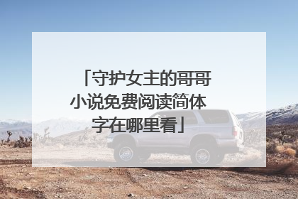 守护女主的哥哥小说免费阅读简体字在哪里看