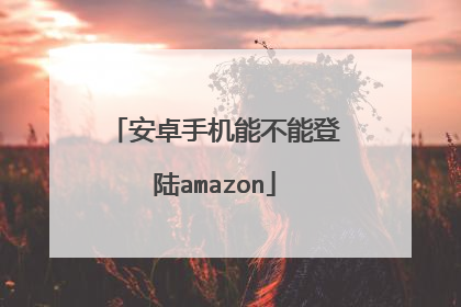 安卓手机能不能登陆amazon