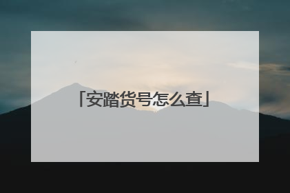 安踏货号怎么查