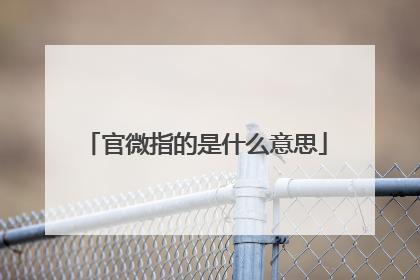 官微指的是什么意思