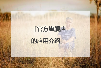 官方旗舰店的应用介绍