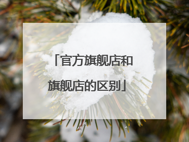 官方旗舰店和旗舰店的区别